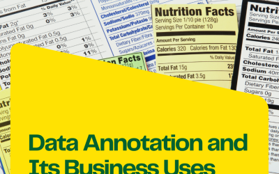 A Simple Introduction to Data Annotation and Its Business Uses