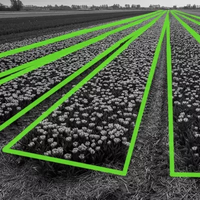 Agriculture annotions